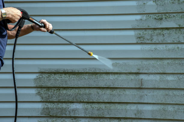 Best Building Exterior Washing  in Adel, GA